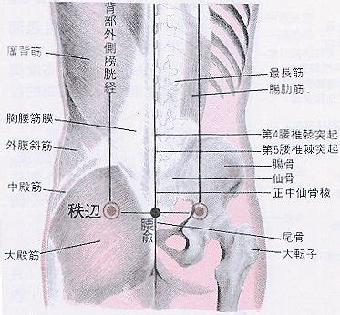 張開穴|醫砭 » 經穴庫 » 箕門